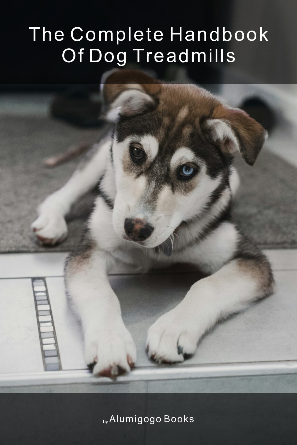 Cover of The Complete Handbook of Dog Treadmills