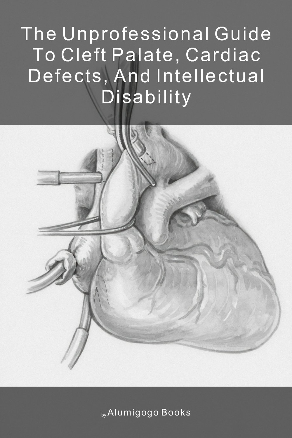Cover of The Unprofessional Guide to cleft palate, cardiac defects, and intellectual disability