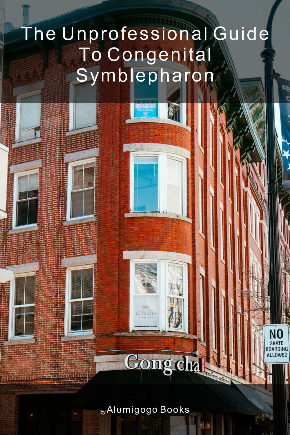 Cover of The Unprofessional Guide to congenital symblepharon