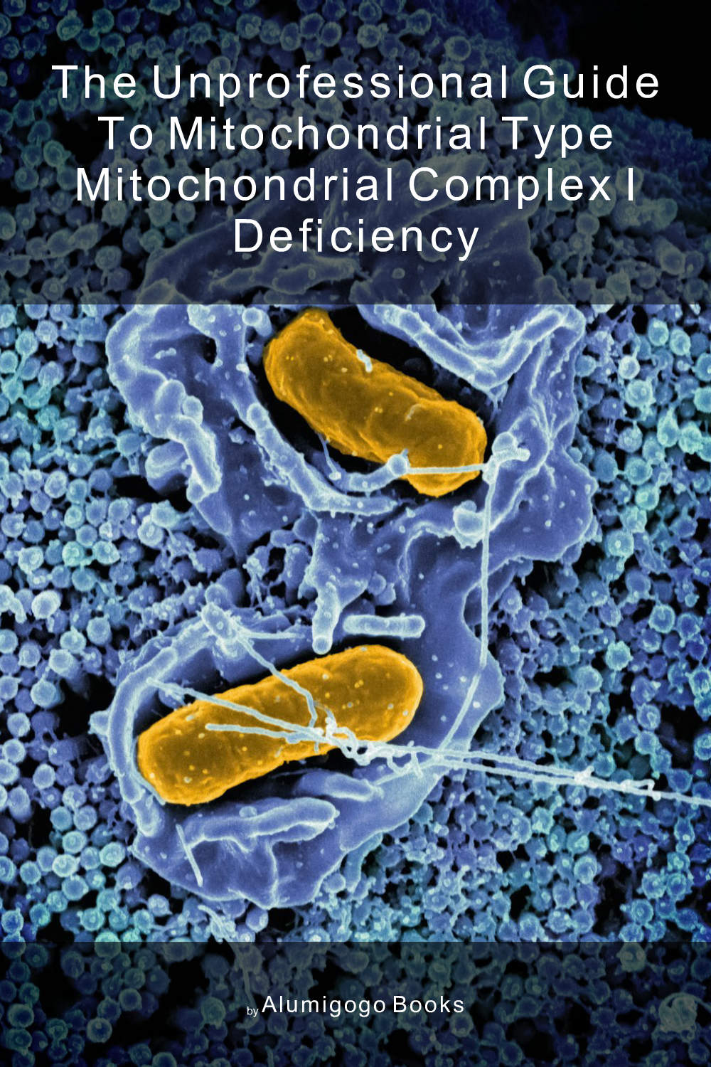 Cover of The Unprofessional Guide to mitochondrial type mitochondrial complex I deficiency