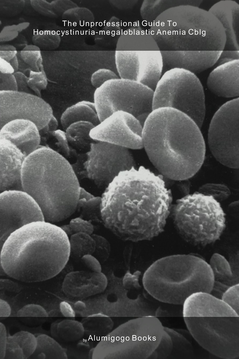 Cover of The Unprofessional Guide to homocystinuria-megaloblastic anemia cblG