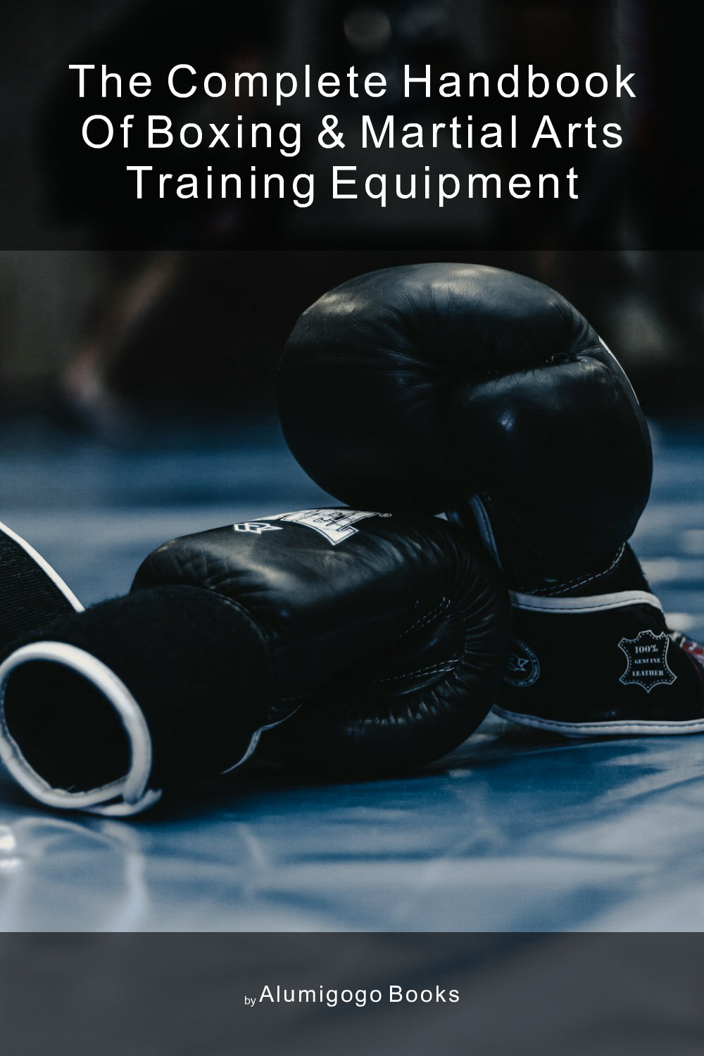 Cover of The Complete Handbook of Boxing & Martial Arts Training Equipment