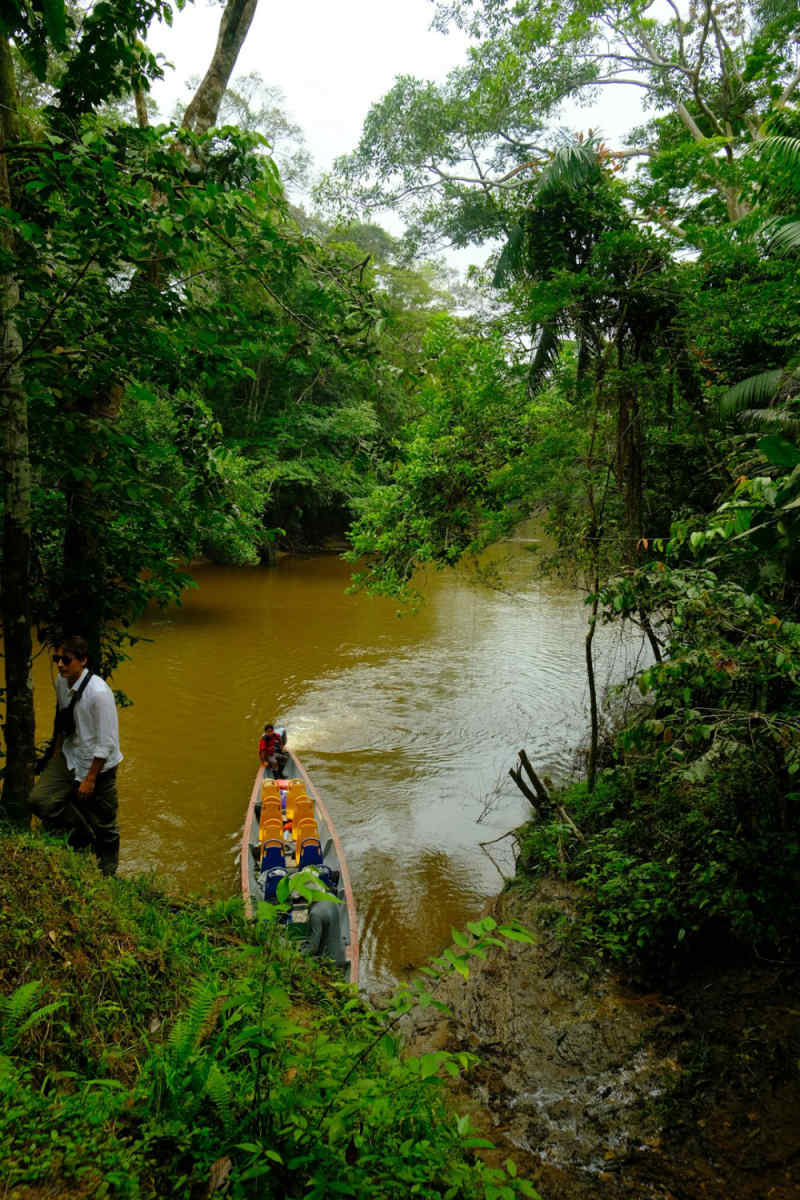 Wall Poster - Alpine Lake in the Amazon Rainforest