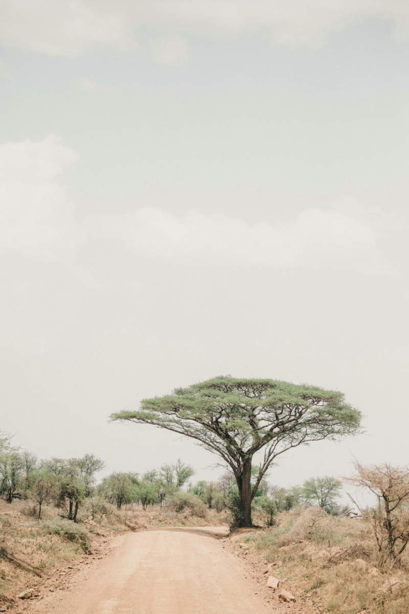 Wall Poster - Ancient Ruins in the Serengeti