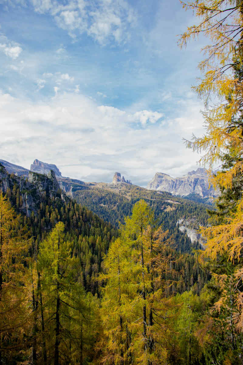 Wall Poster - Autumn Forest in Cinque Terre
