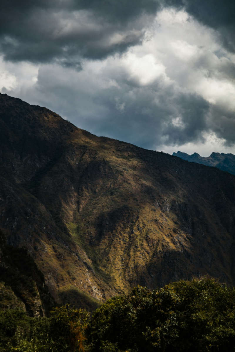 Wall Poster - Autumn Forest in Machu Picchu