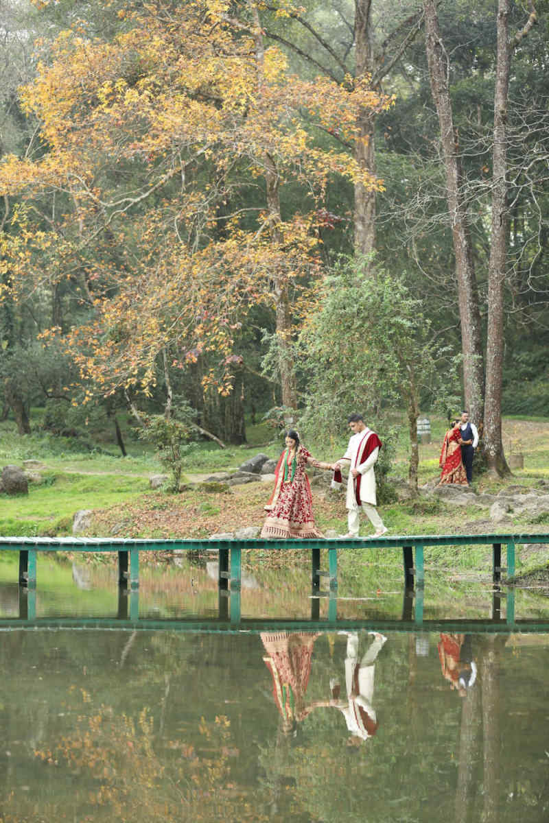 Wall Poster - Autumn Forest in Nepal