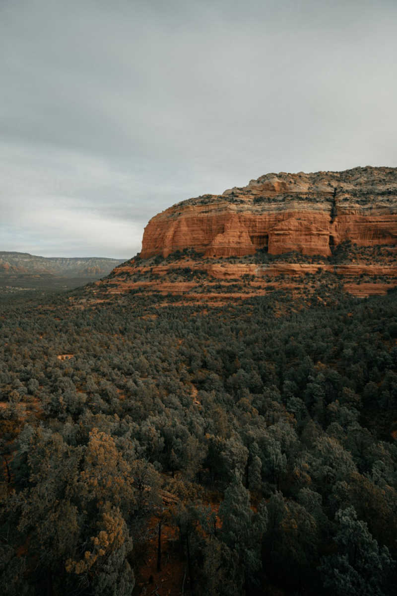 Wall Poster - Autumn Forest in Sedona