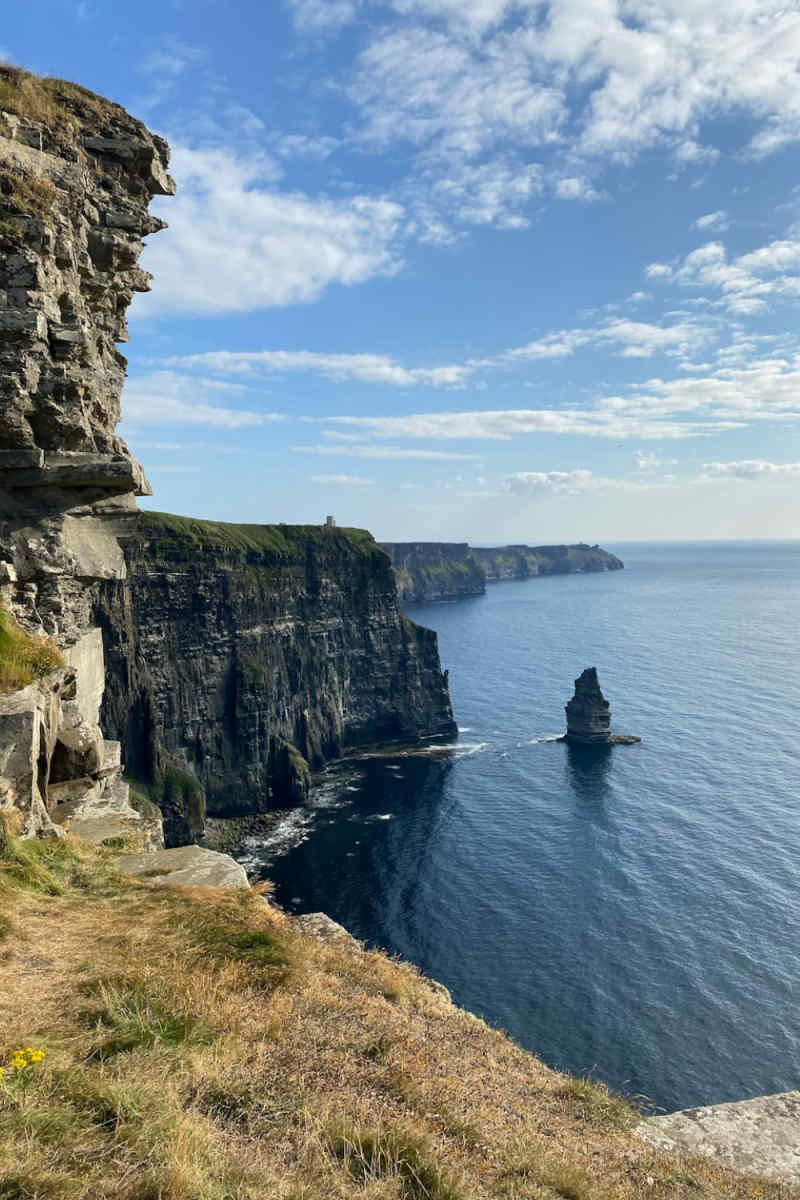 Wall Poster - Autumn Forest in the Cliffs of Moher