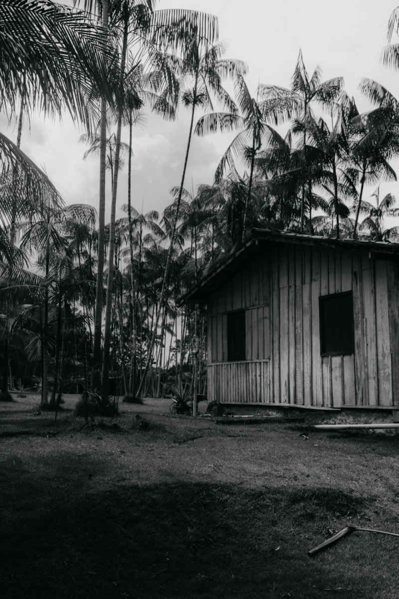 Wall Poster - Barn in the Amazon Rainforest