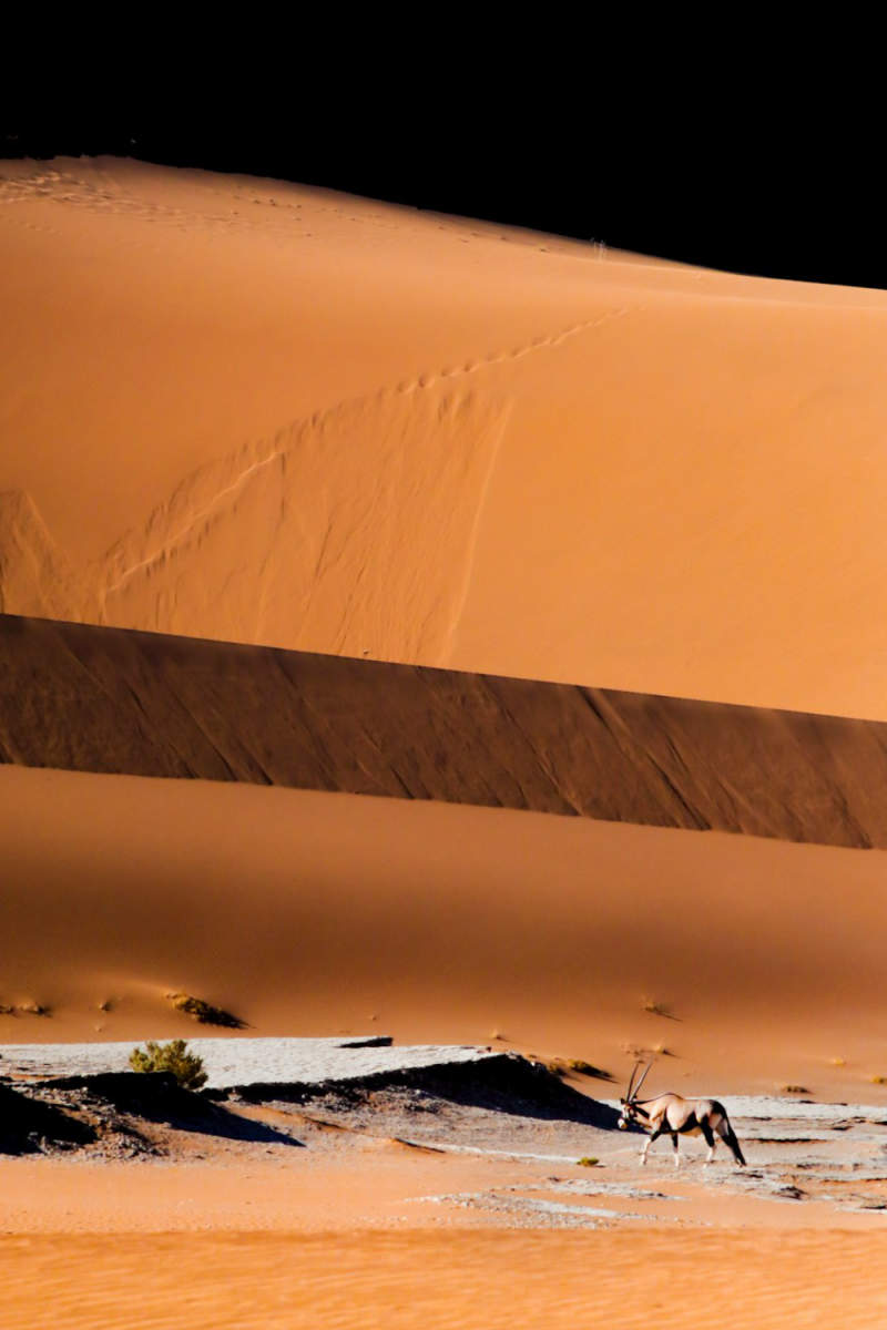 Wall Poster - Barn in the Namib Desert