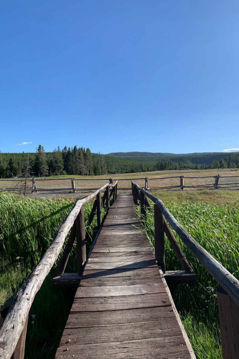 Wall Poster - Barn in Yellowstone