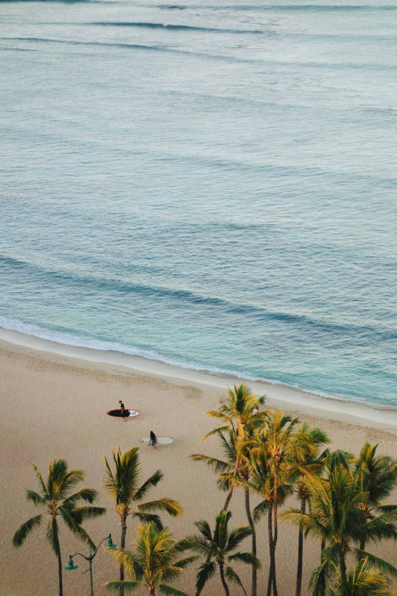Wall Poster - Beach in Hawaii