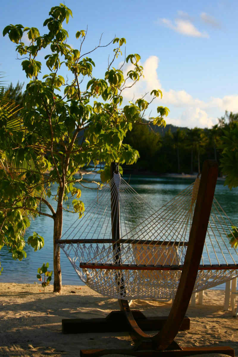 Wall Poster - Blossom Orchard in Bora Bora