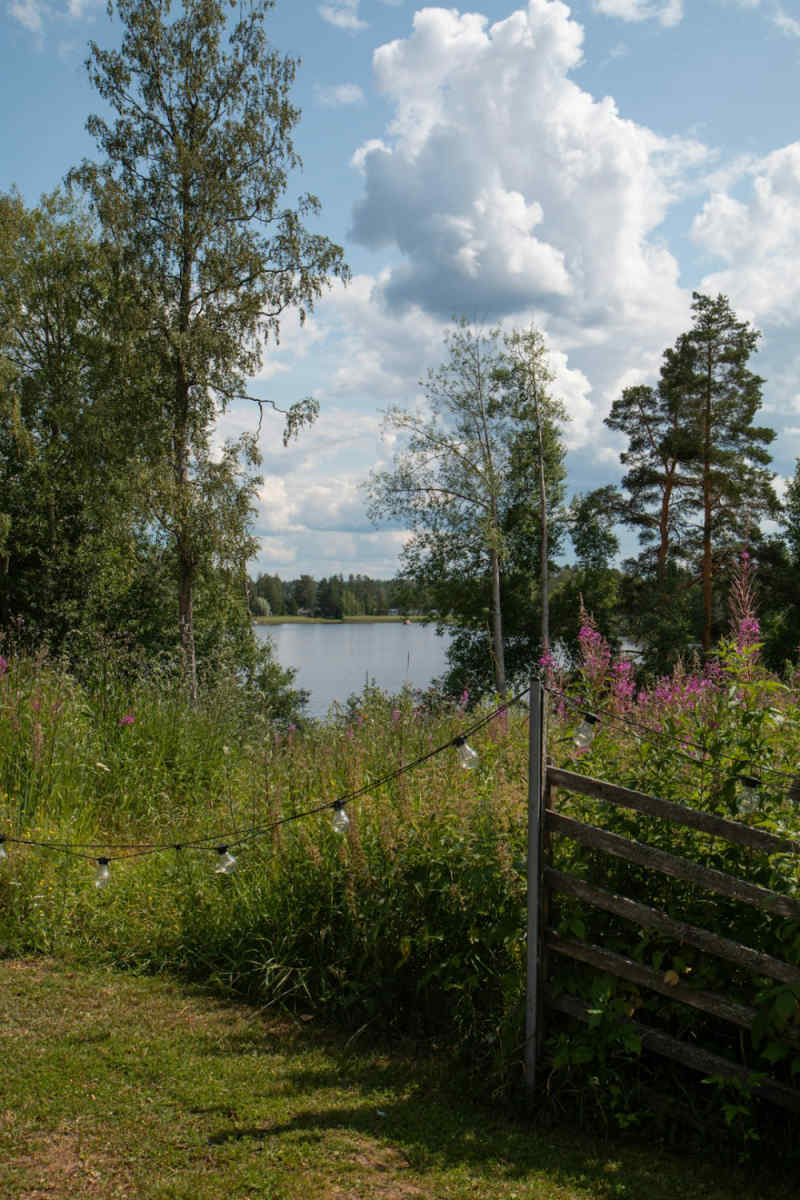 Wall Poster - Blossom Orchard in Finland
