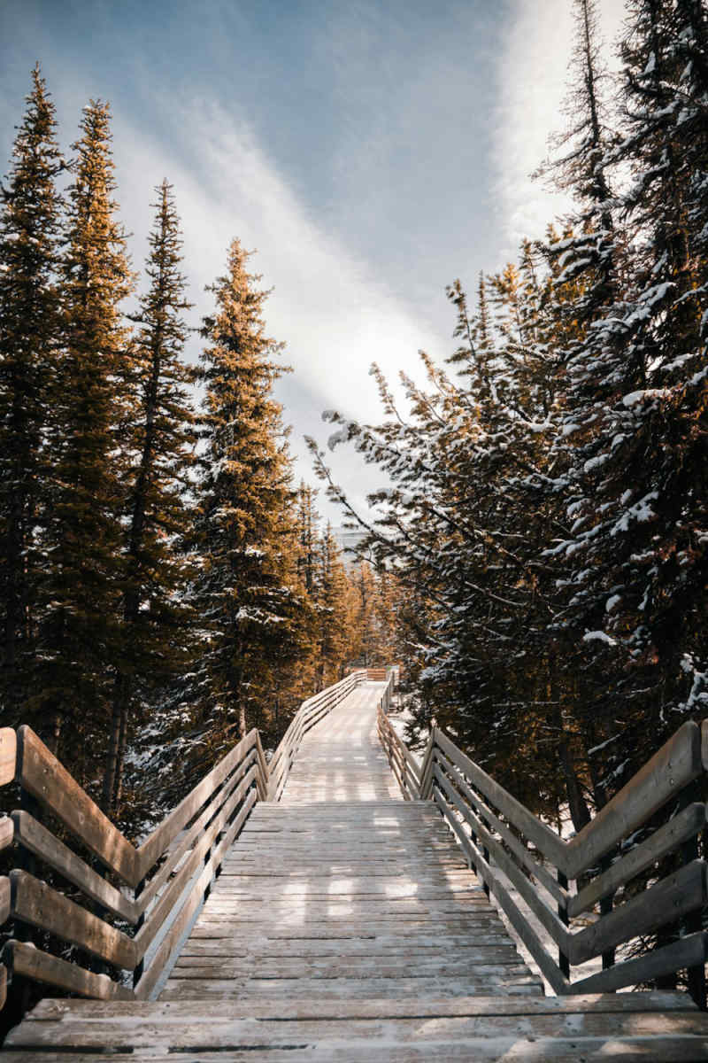 Wall Poster - Boardwalk in the Canadian Rockies