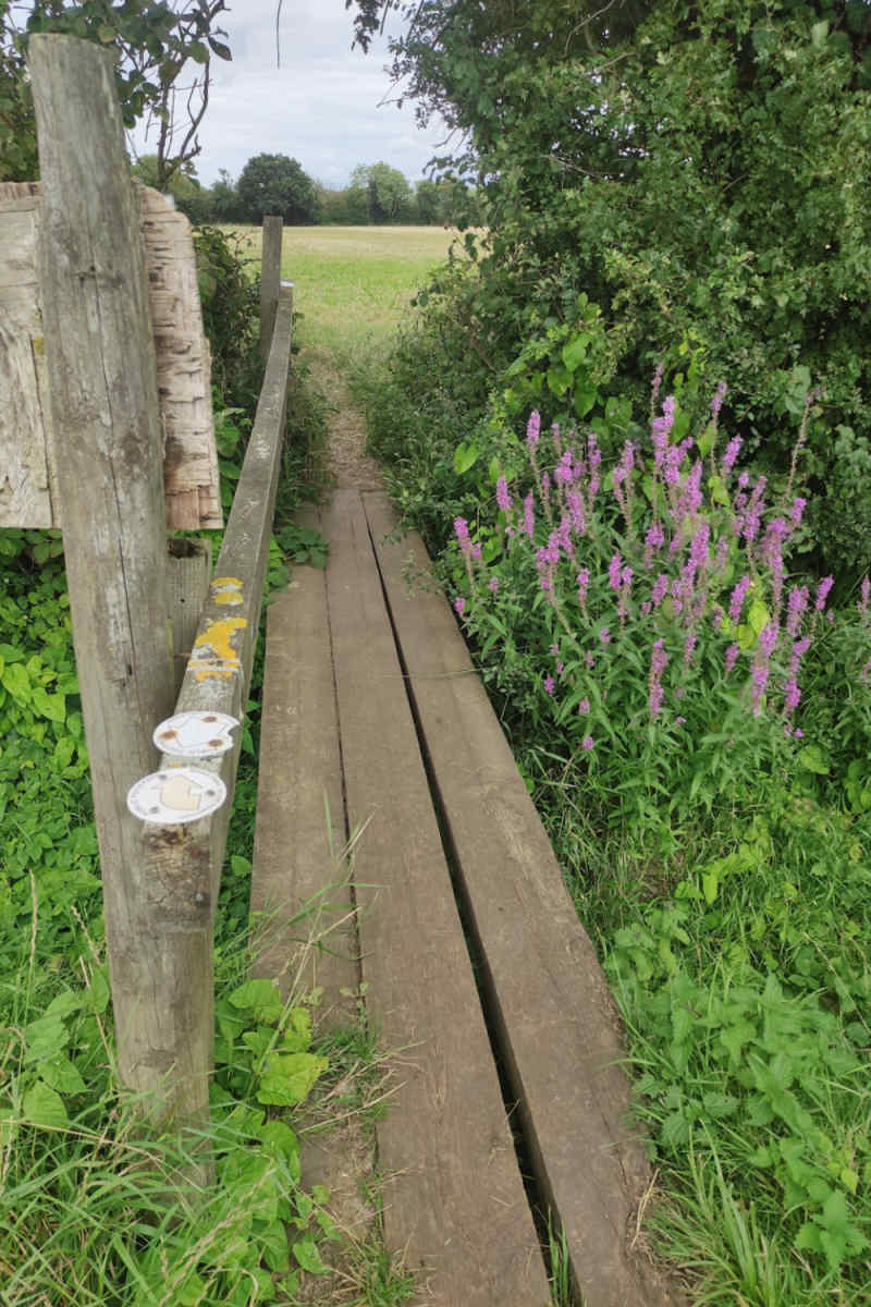 Wall Poster - Boardwalk in the Cotswolds