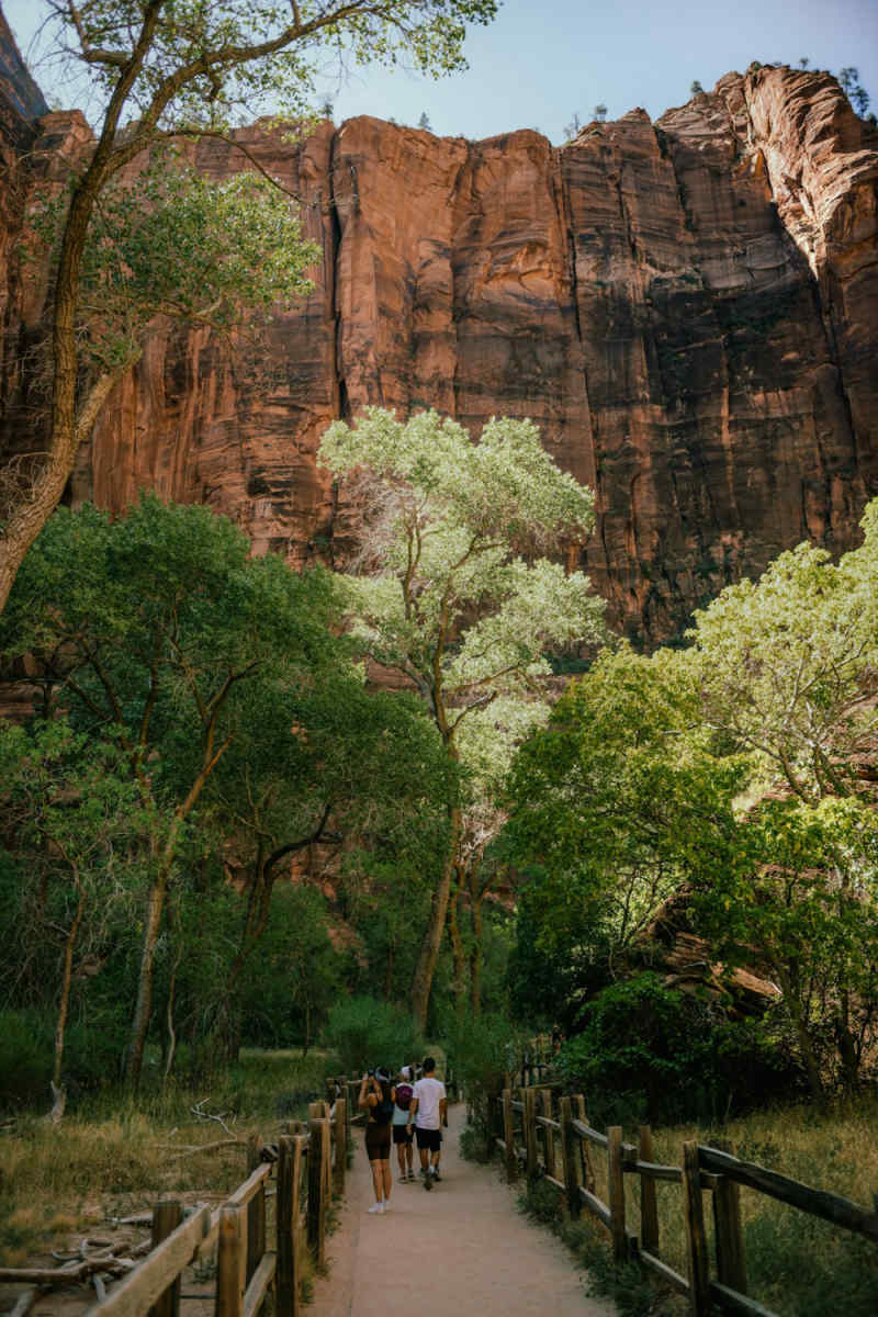 Wall Poster - Boardwalk in Zion National Park