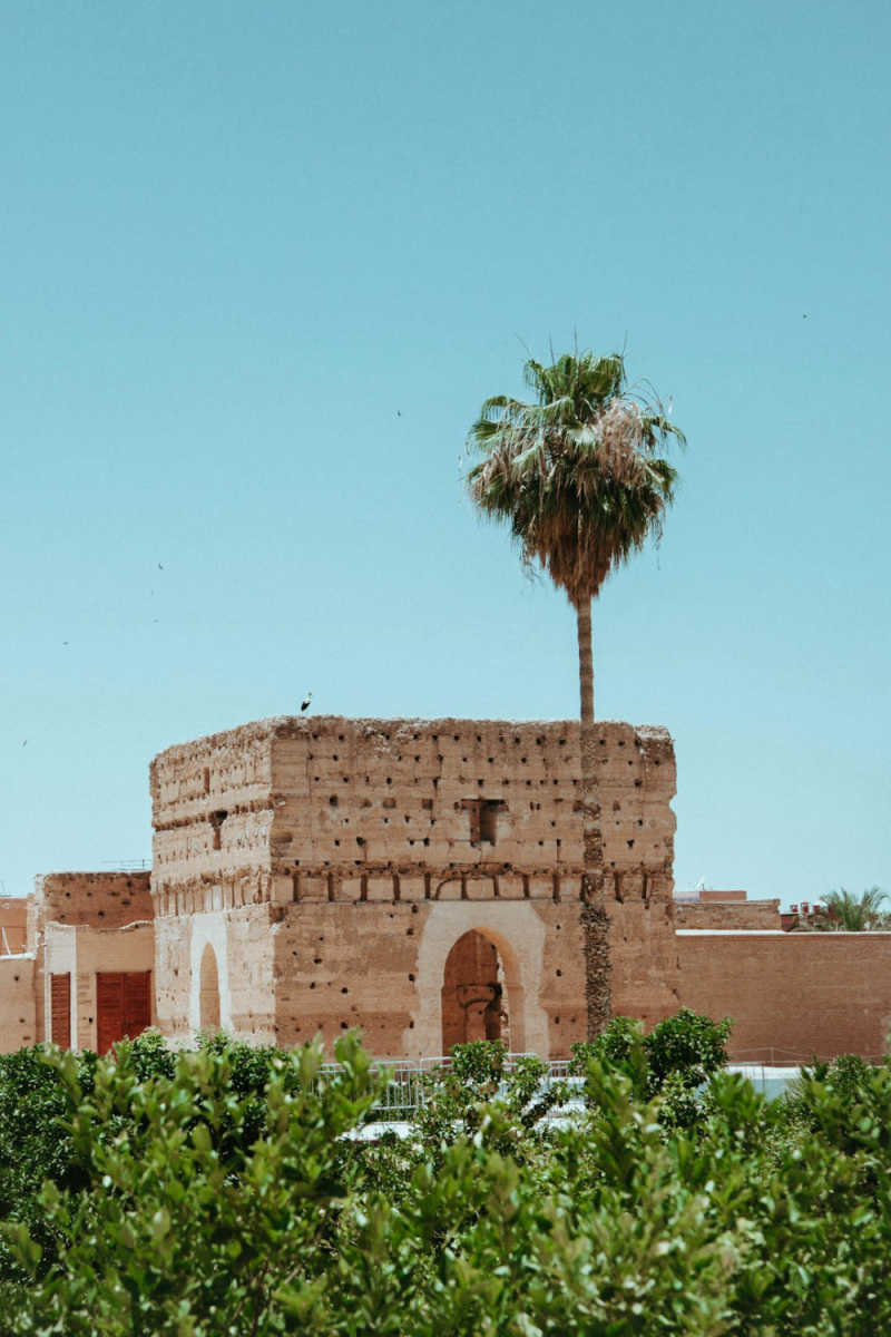Wall Poster - Bonsai Garden in Marrakech