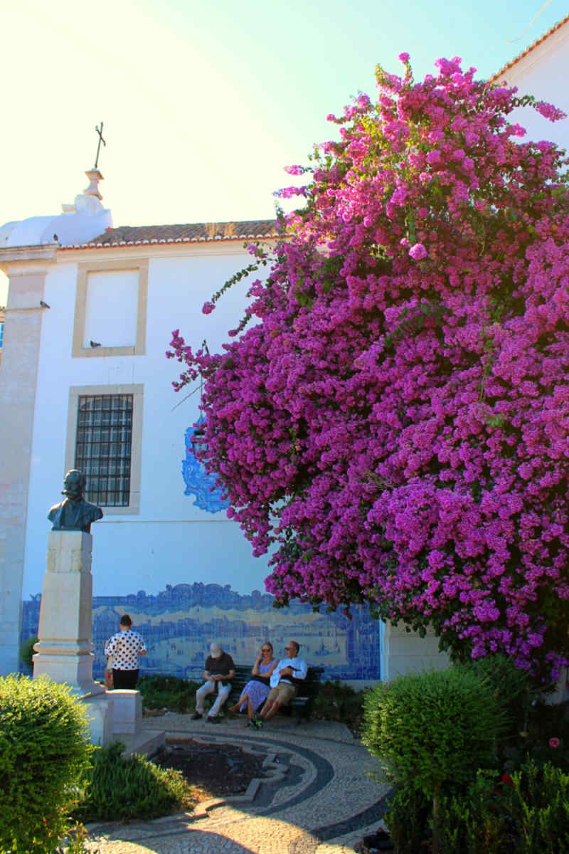 Wall Poster - Bonsai Garden in Portugal