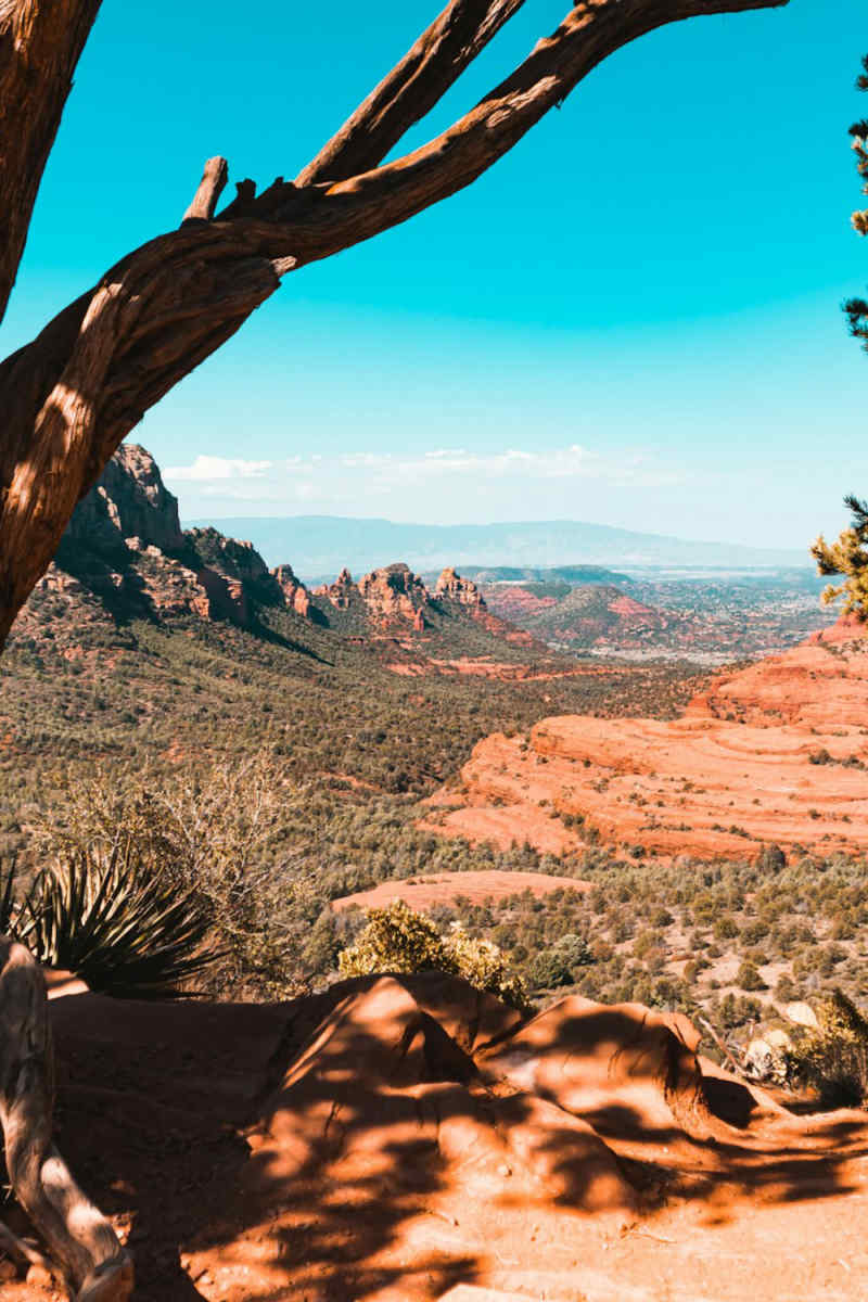 Wall Poster - Bonsai Garden in Sedona