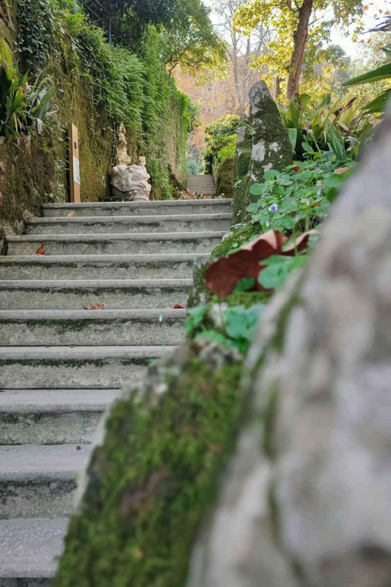 Wall Poster - Bonsai Garden in Sintra