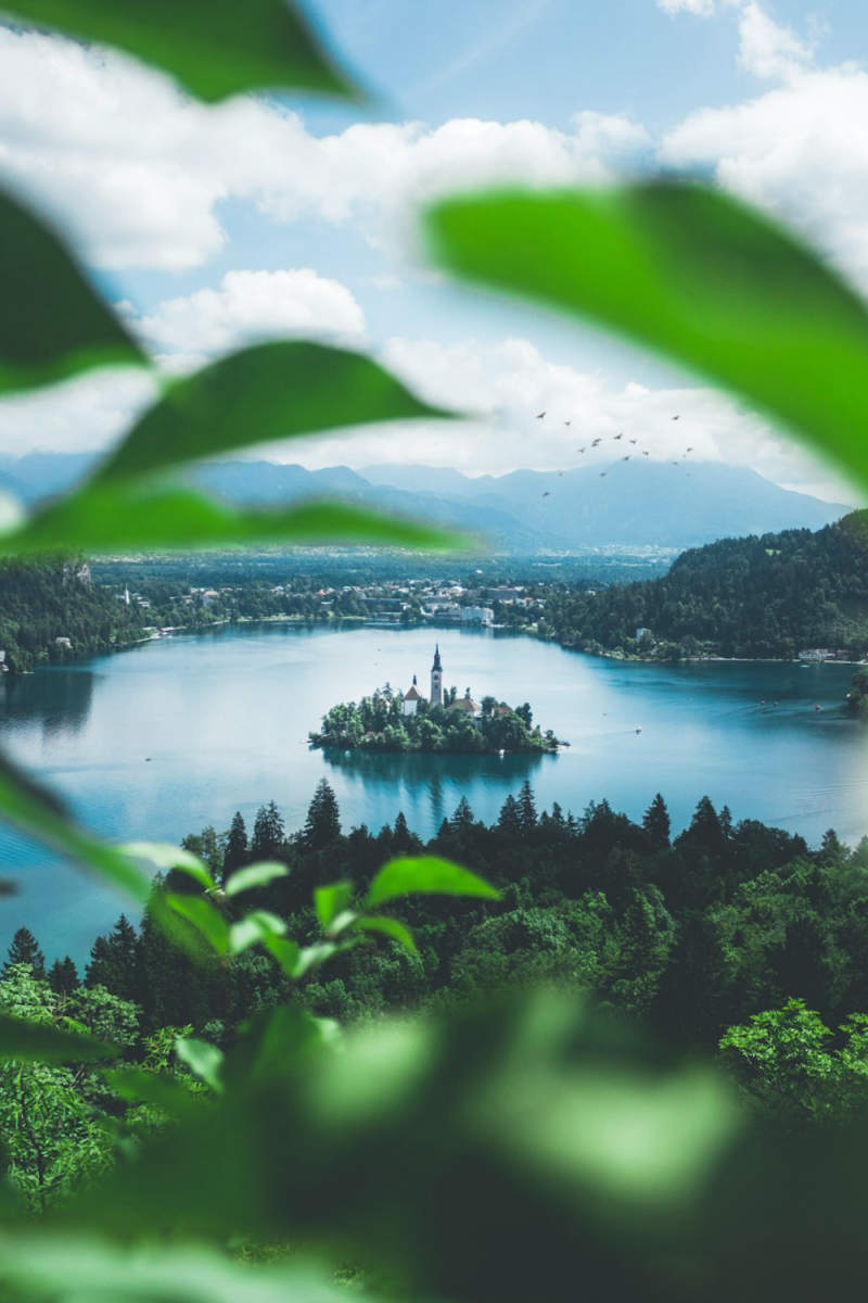 Wall Poster - Bonsai Garden in Slovenia