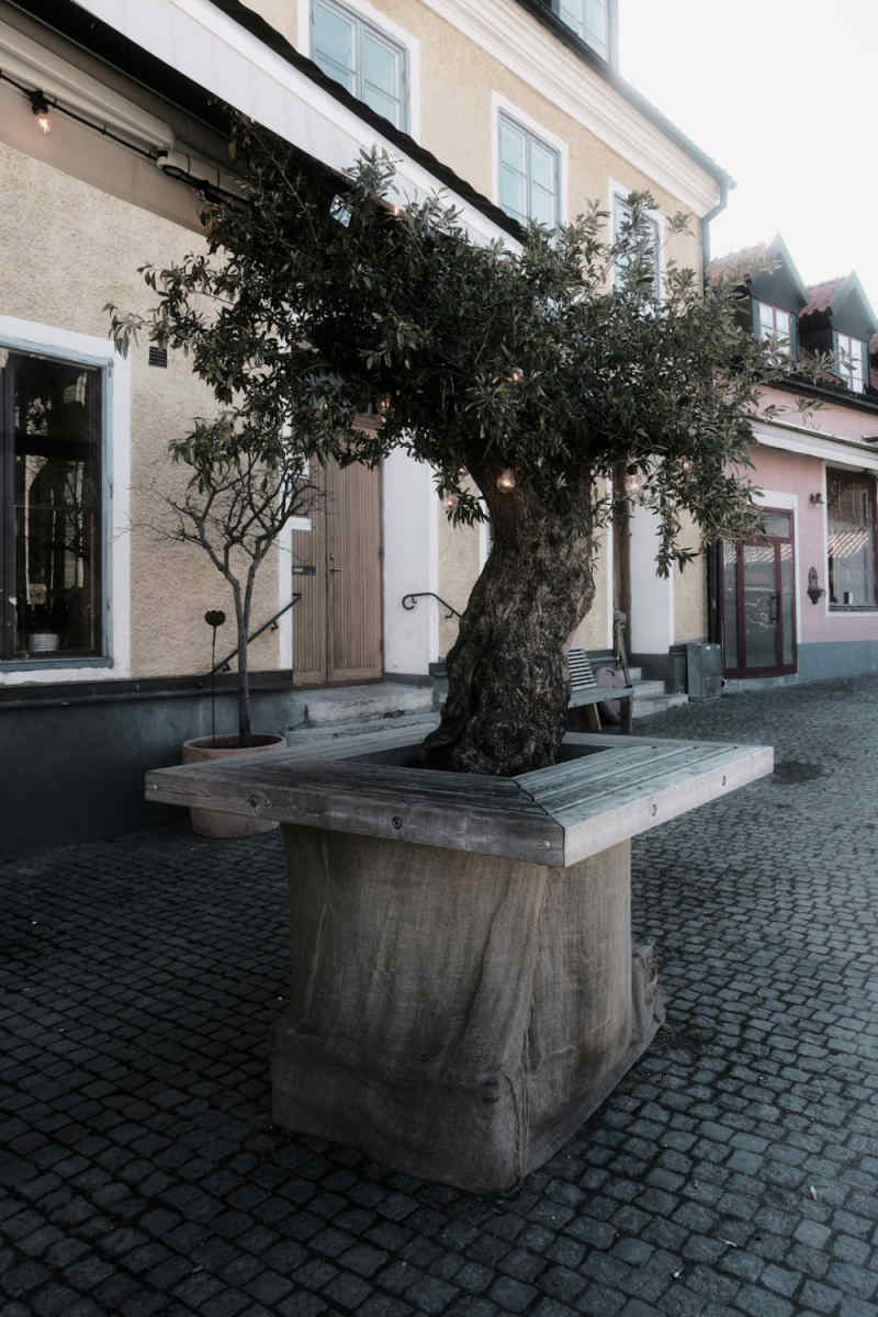 Wall Poster - Bonsai Garden in Sweden
