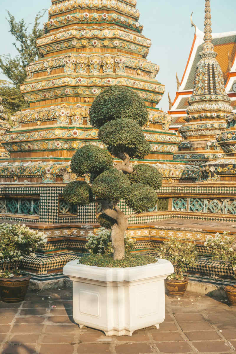 Wall Poster - Bonsai Garden in Thailand