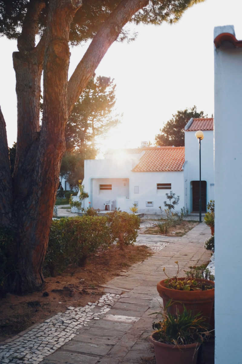 Wall Poster - Bonsai Garden in the Algarve