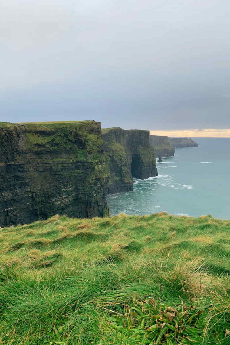 Wall Poster - Bonsai Garden in the Cliffs of Moher