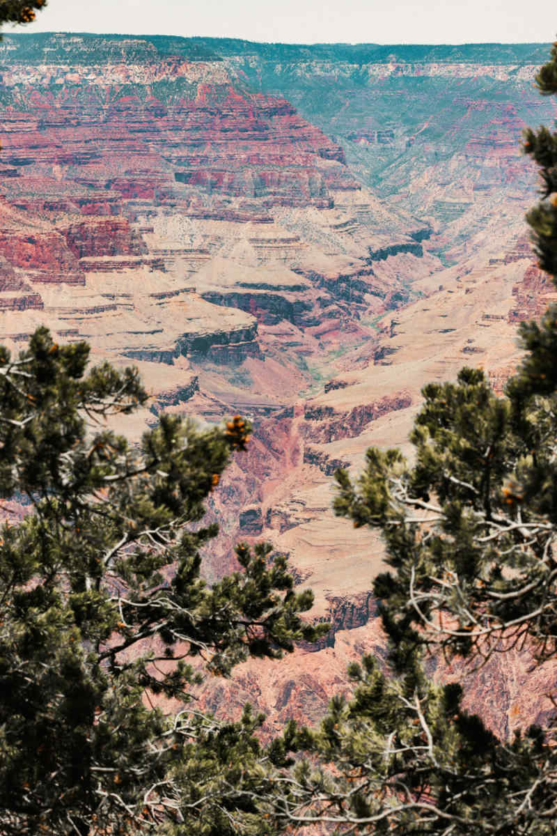 Wall Poster - Bonsai Garden in the Grand Canyon