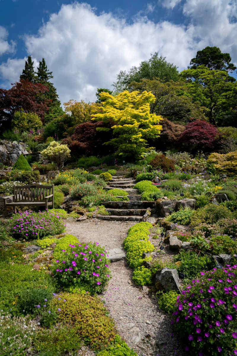 Wall Poster - Bonsai Garden in the Lake District