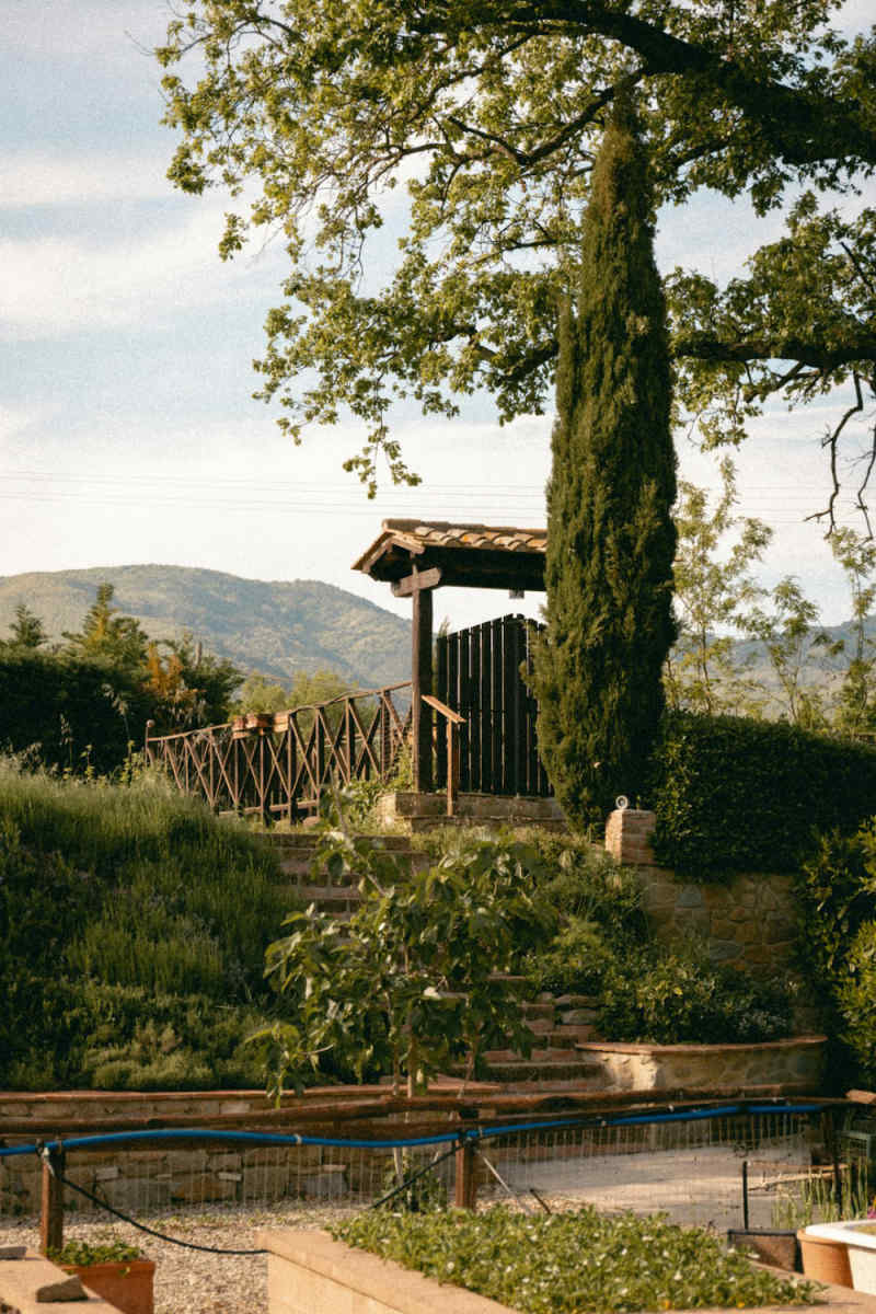 Wall Poster - Bonsai Garden in Tuscany