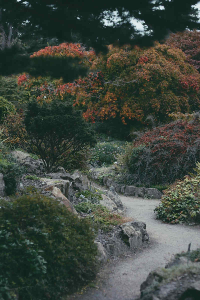 Wall Poster - Botanical Garden in Ireland
