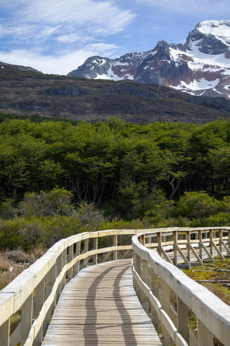 Wall Poster - Botanical Garden in Patagonia