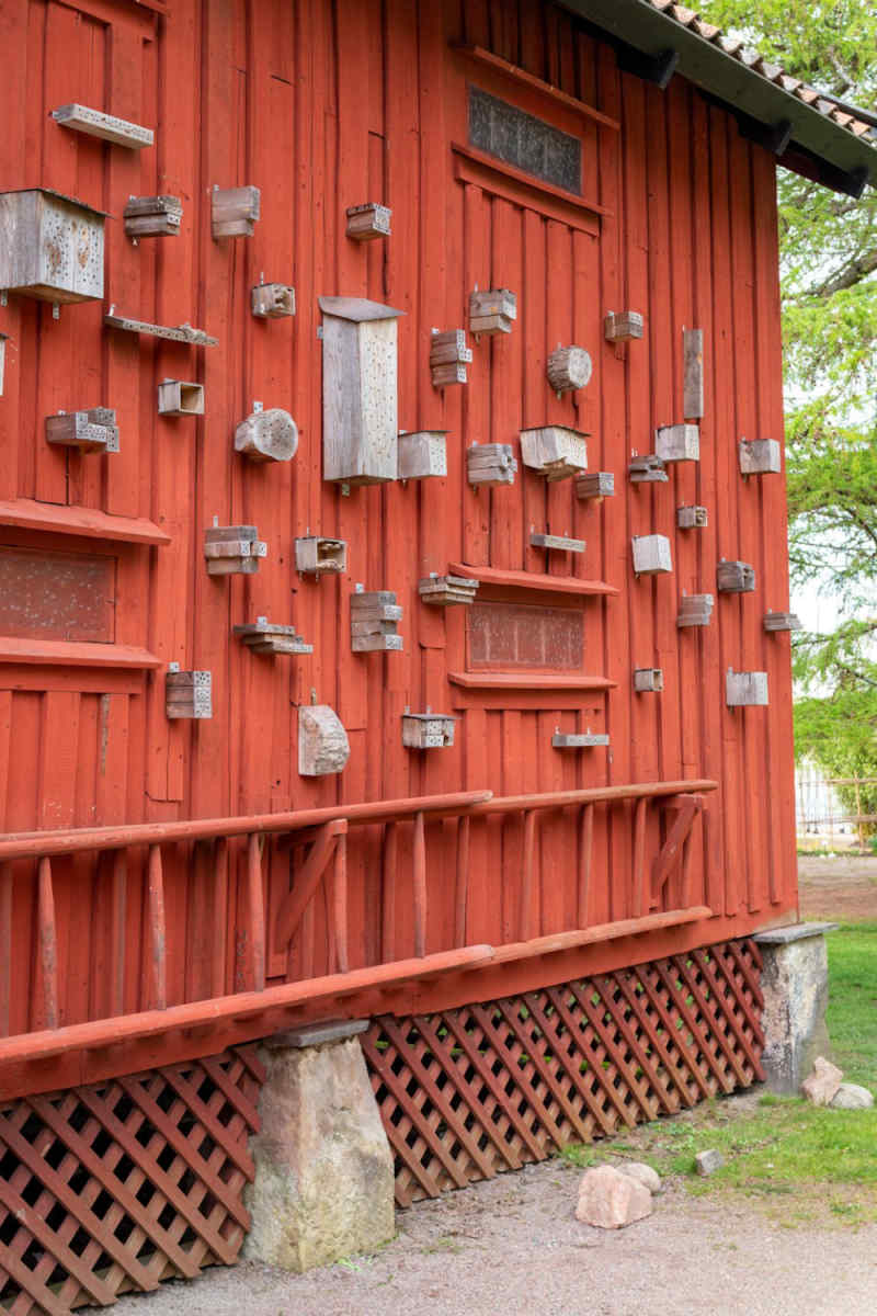Wall Poster - Botanical Garden in Sweden