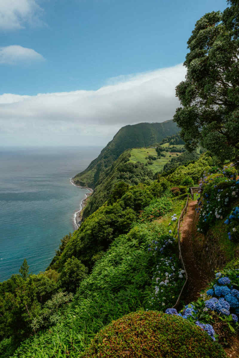 Wall Poster - Botanical Garden in the Azores
