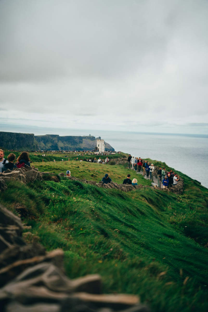 Wall Poster - Botanical Garden in the Cliffs of Moher