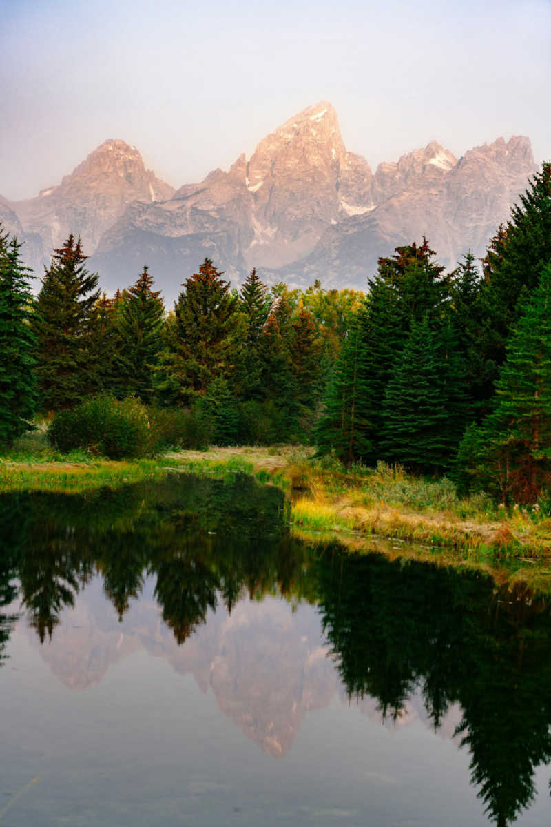 Wall Poster - Botanical Garden in the Grand Tetons