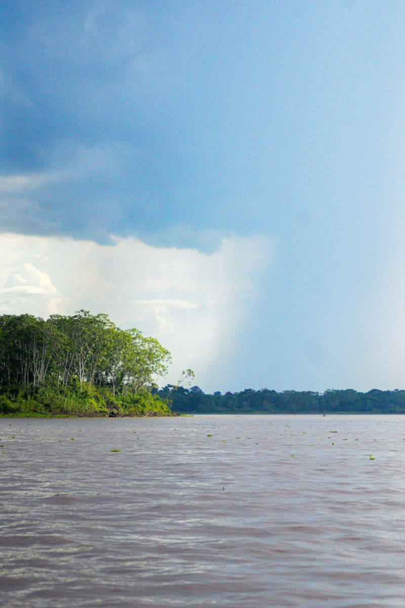 Wall Poster - Canal in the Amazon Rainforest