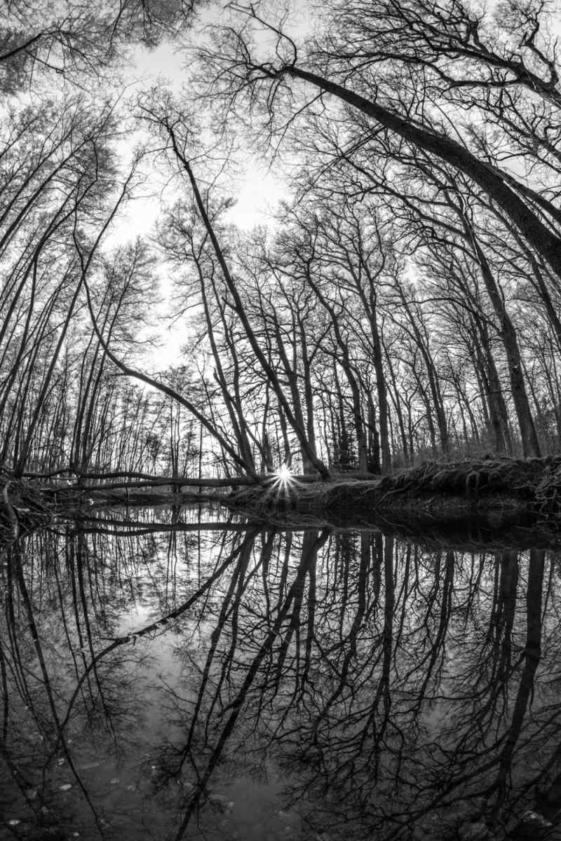 Wall Poster - Canal in the Black Forest