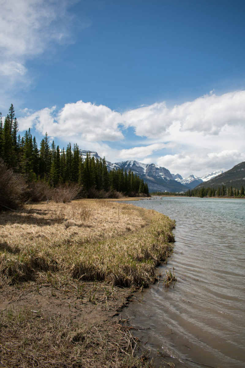 Wall Poster - Canal in the Canadian Rockies