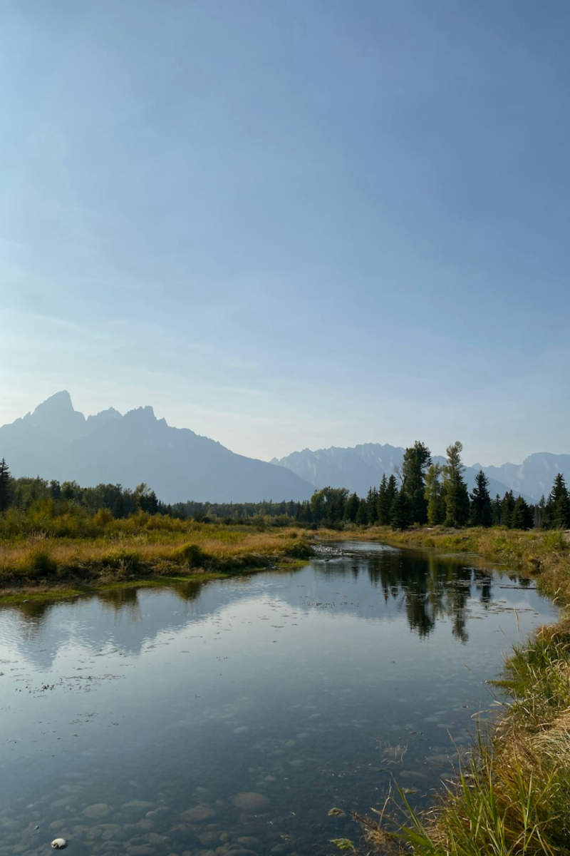 Wall Poster - Canal in the Grand Tetons