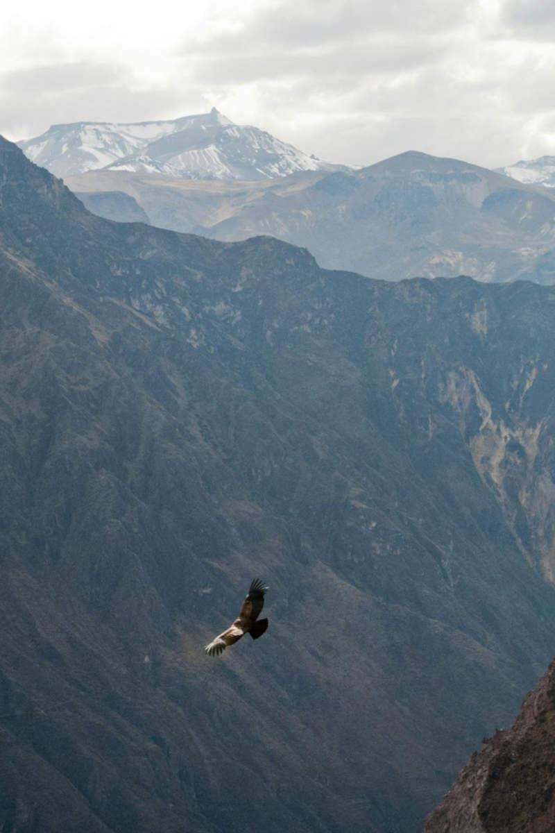Wall Poster - Canyon in Peru