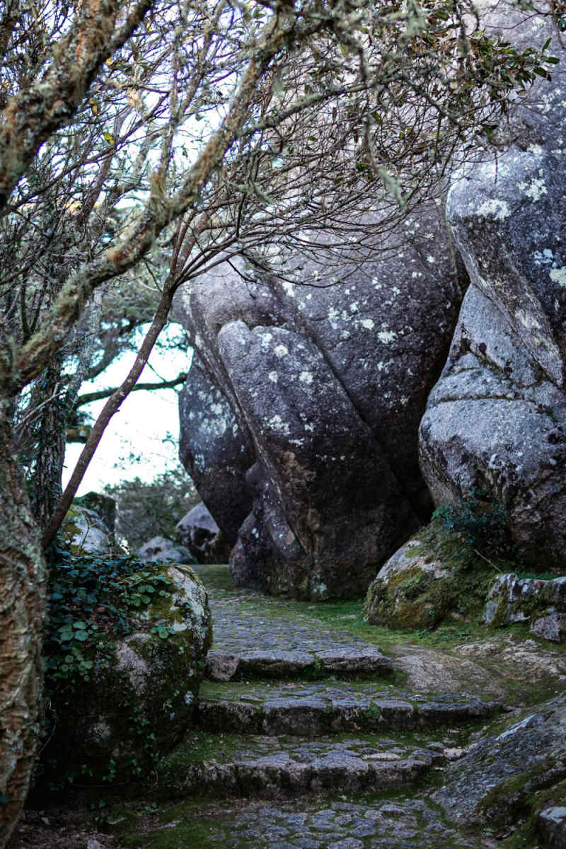 Wall Poster - Canyon in Sintra