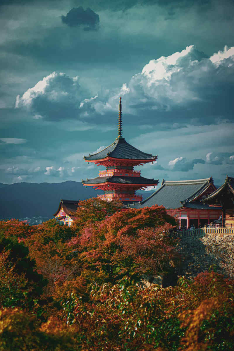Wall Poster - Castle in Kyoto