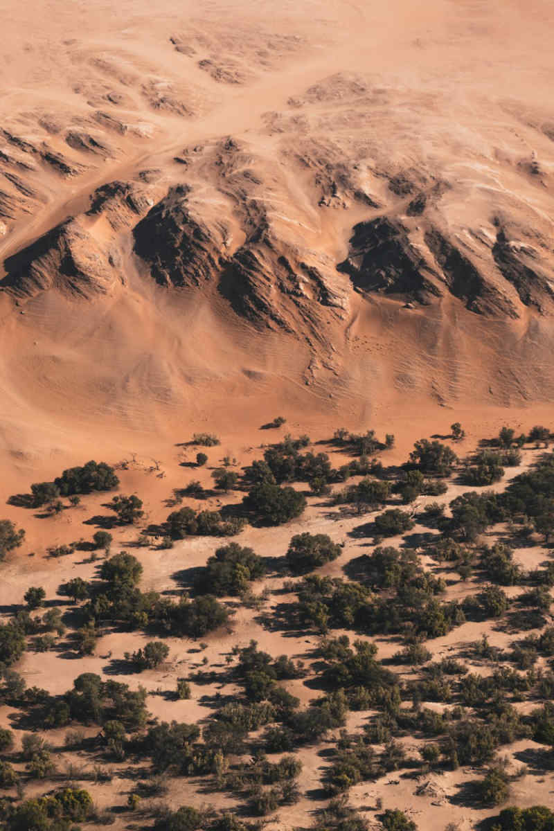Wall Poster - Castle in the Namib Desert