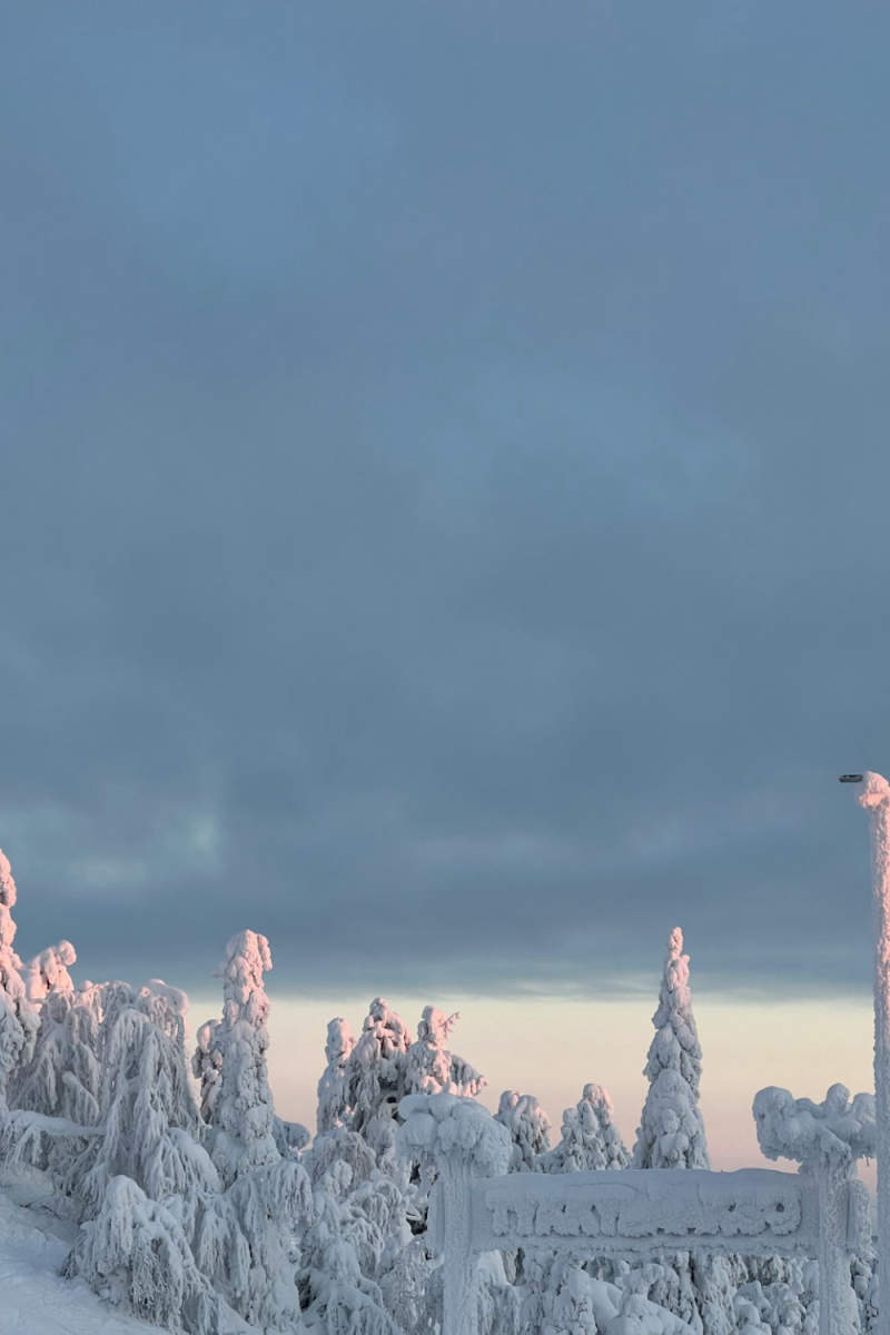 Wall Poster - City Rooftops in Lapland
