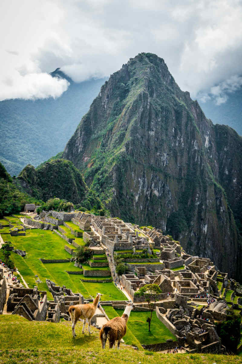 Wall Poster - City Rooftops in Machu Picchu